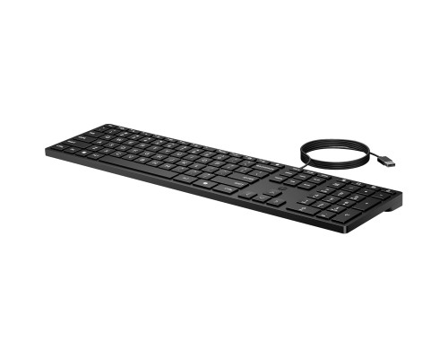 Клавіатура HP 320K USB UA Black (9SR37UT)