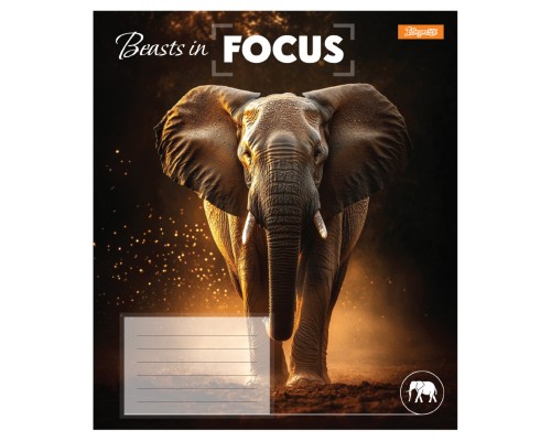 Зошит 1 вересня Beasts in Focusg А5 60 аркушів клітинка (768062)