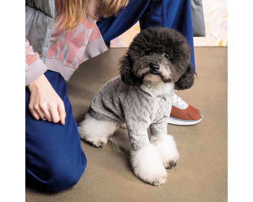 Толстовка для тварин Pet Fashion DELICATE XS (сіра) (4823082429813)