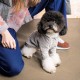 Толстовка для тварин Pet Fashion DELICATE XS (сіра) (4823082429813)