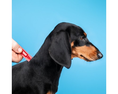 Краплі для тварин ProVET Profiline інсектоакарицид для собак 4-10 кг 4/1 мл (4823082431045)