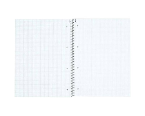 Зошит Brunnen Коледж-блок А4 Premium у клітинку 80 аркушів Mint (10-679 28 154)