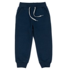 Штани дитячі Breeze спортивні (10172-92B-blue)