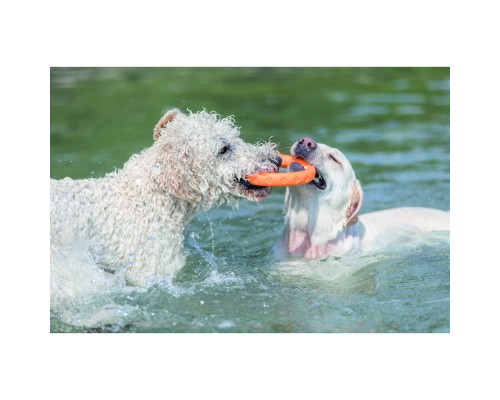 Іграшка для собак Trixie Кільце плавуче Для водних розваг Термопластична гума 17 см (4047974334430)