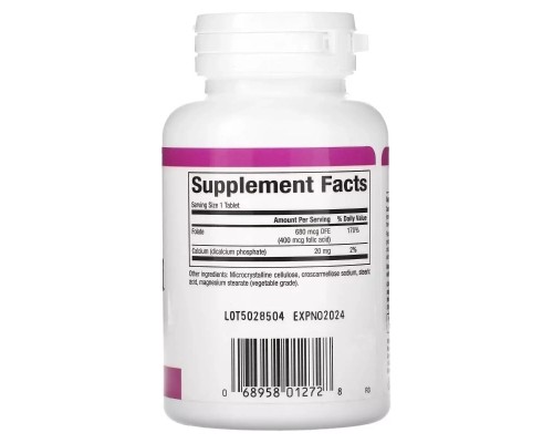 Вітамін Natural Factors Фолієва кислота, 400 мкг, Folic Acid, 90 таблеток (NFS-01272) Вітамін Natural Factors Фолієва кислота, 400 мкг, Folic Acid, 90 таблеток (NFS-01272)