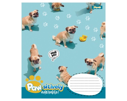 Зошит 1 вересня Pawsitively А5 18 аркушів лінія (768239)
