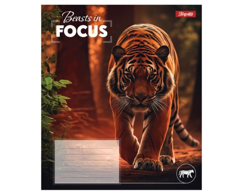 Зошит 1 вересня Beasts in FocusА5 48 аркушів клітинка (768060)