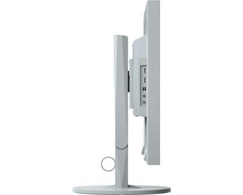 Монітор Eizo EV2430-GY