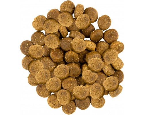 Сухий корм для собак Savory Medium Breed rich in Fresh Turkey and Lamb 1 кг (4820232630259)