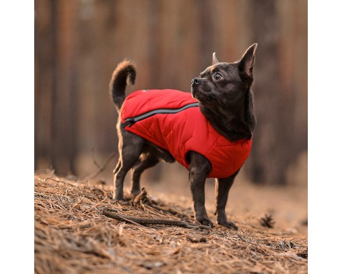 Жилет для тварин Pet Fashion 