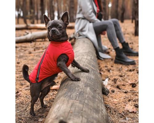 Жилет для тварин Pet Fashion 