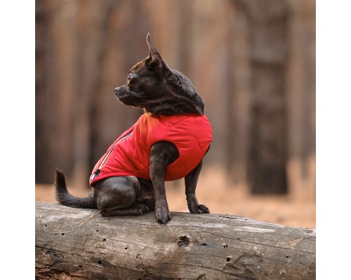 Жилет для тварин Pet Fashion 