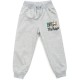 Спортивний костюм дитячий Breeze флісовий (18016-116B-gray)