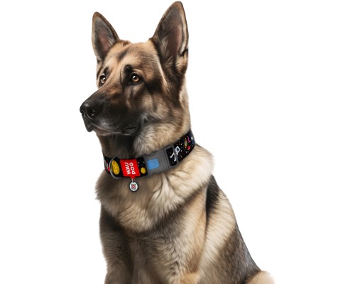 Нашийник для тварин WAUDOG Nylon з QR паспортом NASA пластиковий фастекс XXL (284-0047)