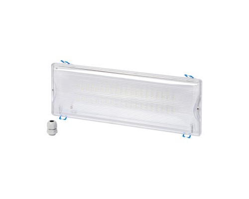Світильник Delux REL-202 (3.7V2,2Ah) 40 LED 8W (90018286)