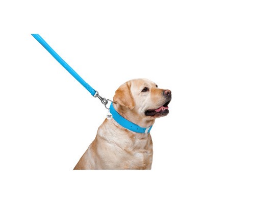 Повідок для собак WAUDOG Glamour шкіряний M-XXL блакитний (33762)