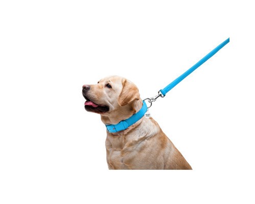 Повідок для собак WAUDOG Glamour шкіряний M-XXL блакитний (33762)