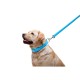 Повідок для собак WAUDOG Glamour шкіряний M-XXL блакитний (33762)