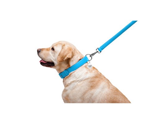 Повідок для собак WAUDOG Glamour шкіряний M-XXL блакитний (33762)