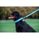 Повідок для собак WAUDOG Glamour шкіряний M-XXL блакитний (33762)