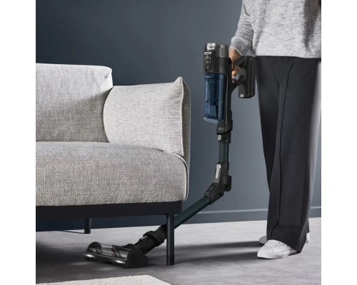 Пилосос Rowenta RH9AD1WO