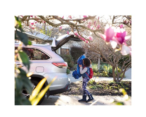 Рюкзак туристичний Osprey Poco LT (2024) starry black - O/S - чорний (009.2664)