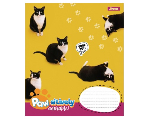 Зошит 1 вересня Pawsitively А5 24 аркушів лінія (768241)