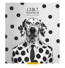 Зошит Школярик Fashion chic 36 аркушів клітинка (036-3458K)