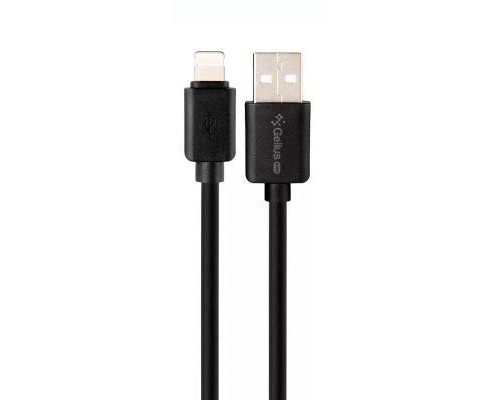 Зарядний пристрій Gelius Pro Avangard GP-HC06 2USB 2.4A + Cable iPhone X Black (00000075587)