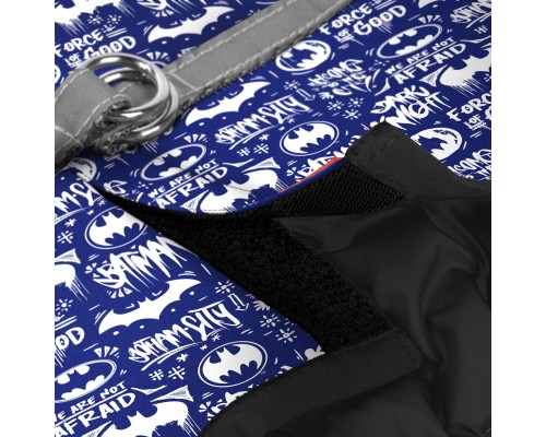 Шлея для собак WAUDOG Clothes з QR паспортом 