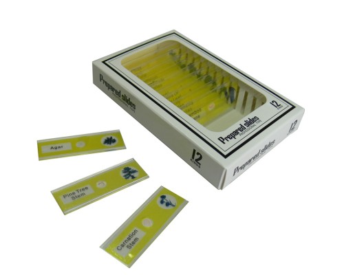 Набір мікропрепаратів Sigeta Entrance Життєві цикли рослин 12 шт (65125)