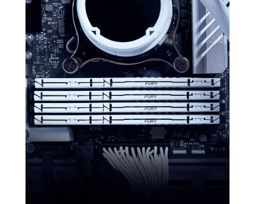 Модуль пам'яті для комп'ютера DDR5 64GB (2x32GB) 5600 MHz Beast White EXPO Kingston Fury (ex.HyperX) (KF556C36BWEK2-64) Модуль пам'яті для комп'ютера DDR5 64GB (2x32GB) 5600 MHz Beast White EXPO Kingston Fury (ex.HyperX) (KF556C36BWEK2-64)