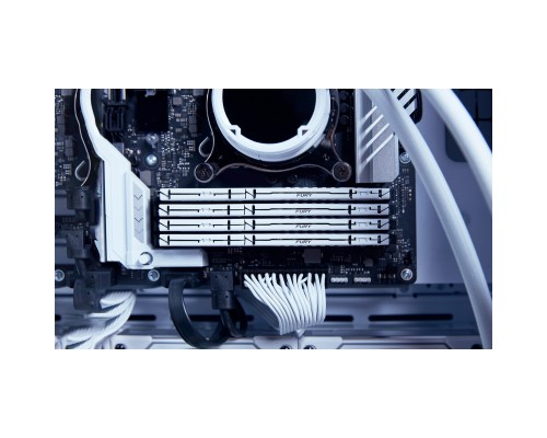 Модуль пам'яті для комп'ютера DDR5 64GB (2x32GB) 5600 MHz Beast White EXPO Kingston Fury (ex.HyperX) (KF556C36BWEK2-64) Модуль пам'яті для комп'ютера DDR5 64GB (2x32GB) 5600 MHz Beast White EXPO Kingston Fury (ex.HyperX) (KF556C36BWEK2-64)