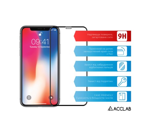 Скло захисне ACCLAB Full Glue ESD Apple Iphone X/XS/11 Pro (1283126532139)