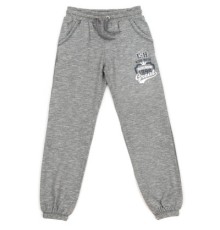 Штани дитячі Breeze спортивні (7987-134B-gray)