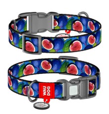 Нашийник для тварин WAUDOG Nylon з QR паспортом 