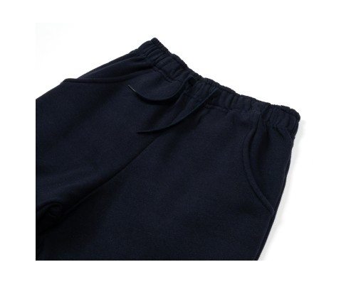 Штани дитячі Breeze спортивні утеплені (19466-134B-gray)