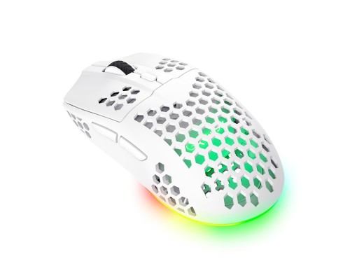 Мишка Trust GXT 929 Helox Wireless/USB-A White (25390)