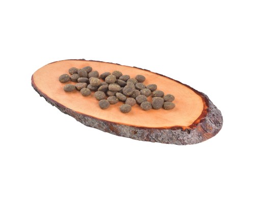 Сухий корм для собак Carnilove True Fresh FISH for Adult dogs 11.4 кг (8595602546015)