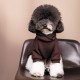 Толстовка для тварин Pet Fashion Megan S (4823082430260)