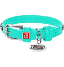 Нашийник для тварин WAUDOG Glamour з QR-паспортом 