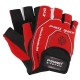 Рукавички для фітнесу Power System PS-2260 Pro Grip EVO Red L (PS_2260RD-4_L)
