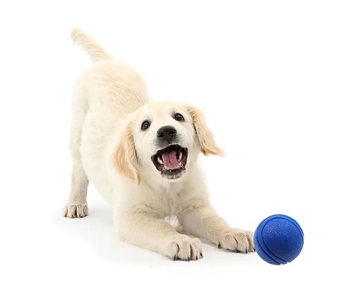 Іграшка для собак Nunbell М'яч текстурований Маленький 4.5 см (YM0167)