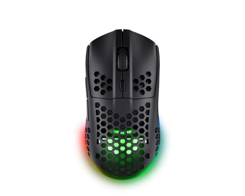 Мишка Trust GXT 929 Helox Wireless/USB-A Black (25307)