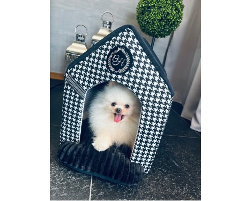 Будиночок для тварин Chloe's Home Positano M чорний (CLH4579)