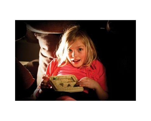 Настільна гра Smart Games Храм - пастка (SG 437 UKR)