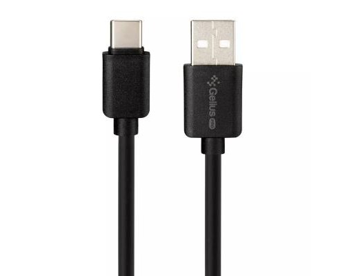 Зарядний пристрій Gelius Pro Avangard GP-HC06 2USB 2.4A + Cable Type-C Black (00000075589)