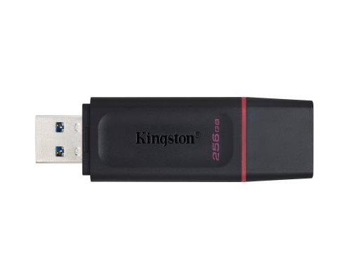 USB флеш накопичувач Kingston 256GB DataTraveler Exodia Black/Pink USB 3.2 (DTX/256GB) 