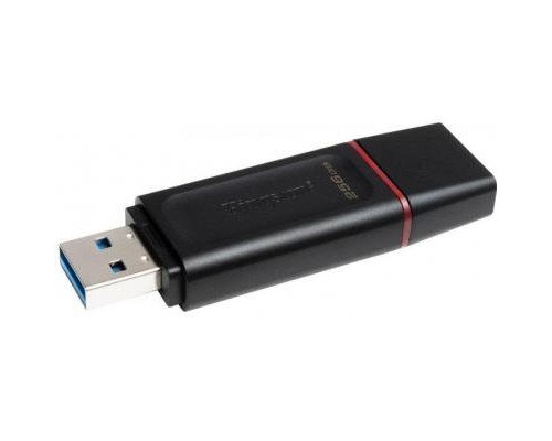 USB флеш накопичувач Kingston 256GB DataTraveler Exodia Black/Pink USB 3.2 (DTX/256GB) 
