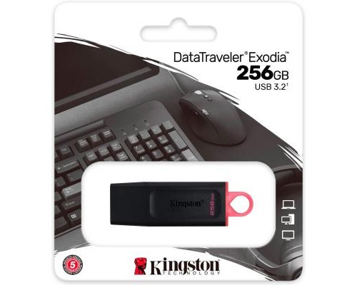 USB флеш накопичувач Kingston 256GB DataTraveler Exodia Black/Pink USB 3.2 (DTX/256GB) 
